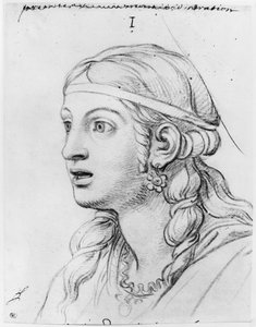 Admiración con asombro de Charles Le Brun